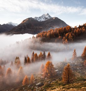 5 star superior Grand Hotel Kronenhof Pontresina in the Engadin